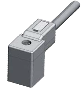 PETERSͷ